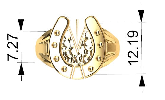 Genuine Solid Large 9ct 9kt Yellow, Rose or White Gold 375 Lucky Horseshoe Ring