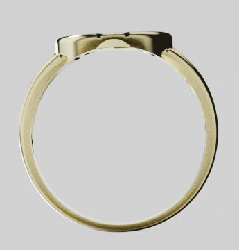 Genuine Solid Large 9ct 9kt Yellow, Rose or White Gold 375 Lucky Horseshoe Ring