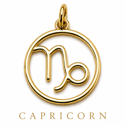 Genuine 9ct 9k 375 Yellow, Rose or White Gold Modern ALL Zodiacs Zodiac Pendant