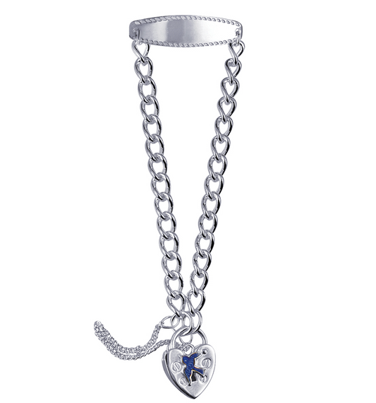 Genuine Sterling Silver or Gold Plated 925 Long Curb Child ID with Plain Heart Padlock and Blue Bird