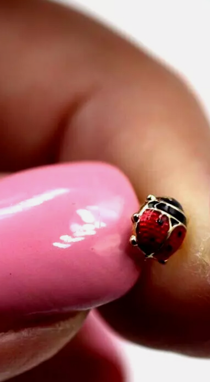 Genuine 9ct Yellow Gold Small Enamel Lady Bird Studs Earrings
