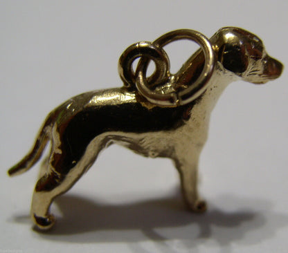Kaedesigns, New 3D 9ct 375 Yellow, Rose Or White Gold Dog Charm / Pendant